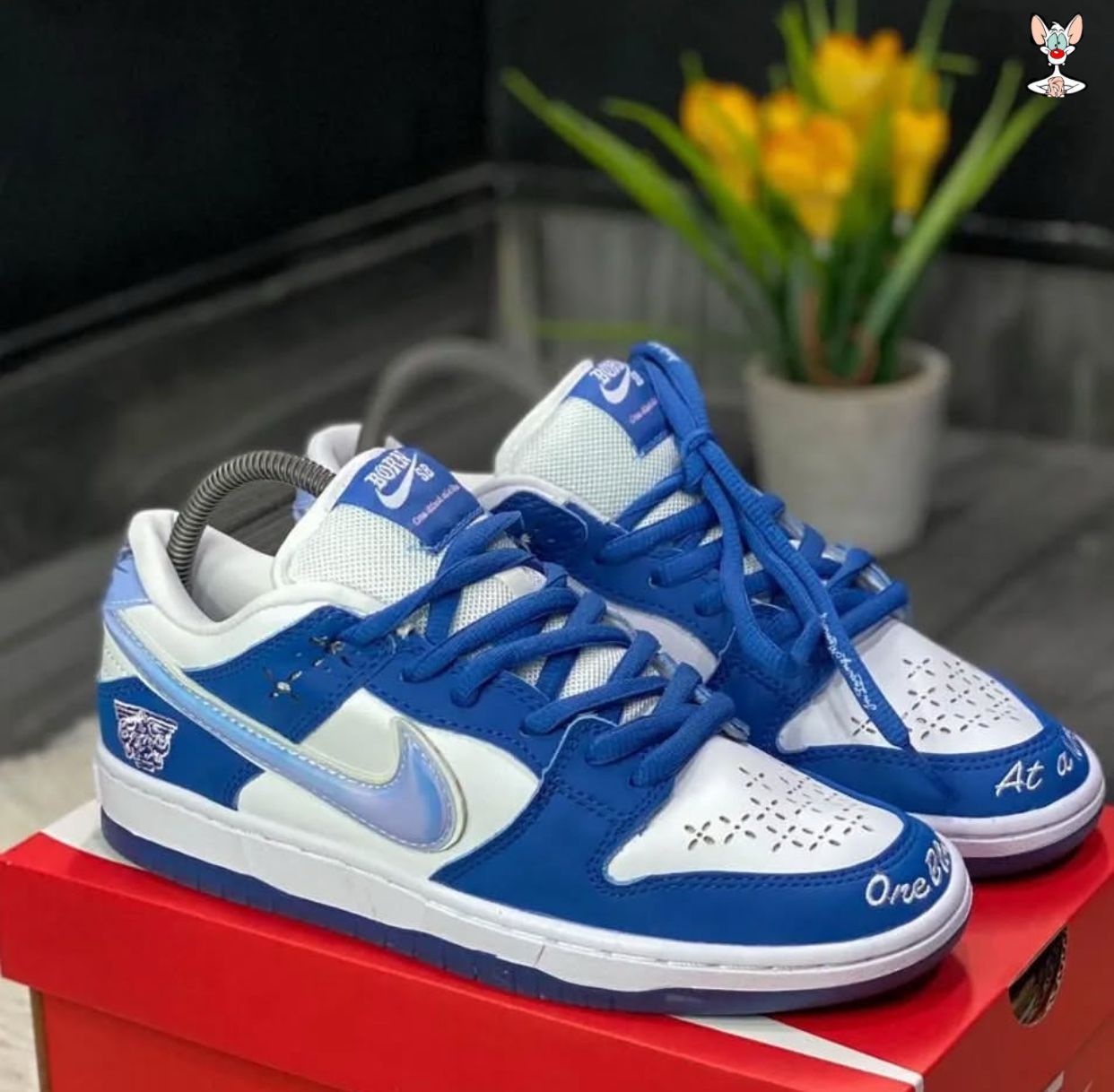 Nike SB Dunk Blue & White Custom